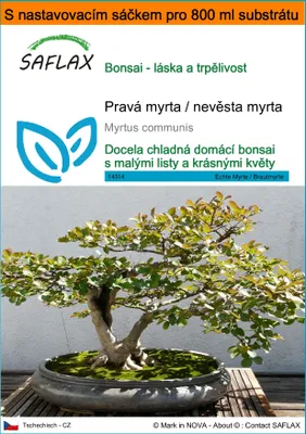 Obrázek produktu pro SAFLAX Garden in the bag - Pravá myrta / nevěsta myrta - Myrtus communis - 30 Semena - S pěstebním substrátem v praktickém samovztyčovacím sáčku