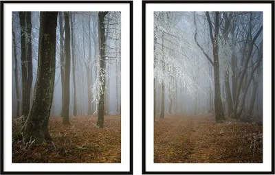 Obrázok produktu pre Maliarsky plagát v ráme, 53 x 73 cm, diptych, sada 2, jesenný les, P2093