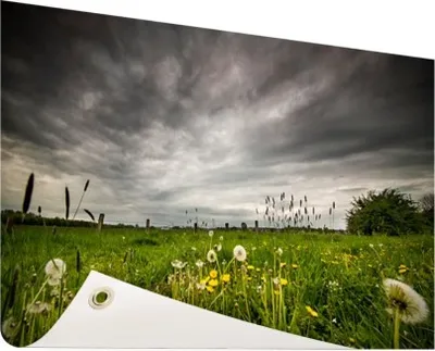 Produktbild von Gartenposter - 120x80 cm - Wiese für einen Sturm  - Modernes Wandbilder - Natur