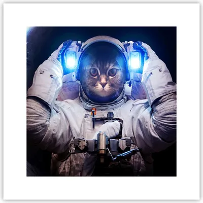 Produktbild von Poster - Poster ohne Rahmen - Kosmonaut Katze - 30x30 cm - Wand Bild - Wanddeko - Wandbilder - Kunstposter - Wandposter - Bilder - Kunstdruck - Wanddekoration - Wandbild - P2XAC30x30-3734
