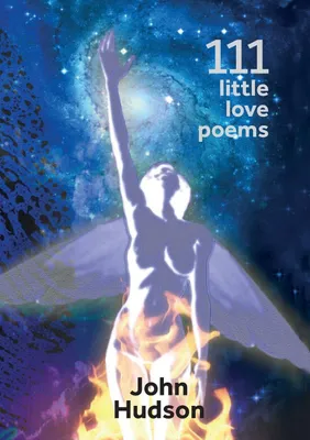 Produktbild von 111 Little Love Poems
