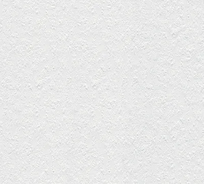 Obrázek produktu pro A.S. Création netkaná tapeta Meistervlies Pro Protect 2, bílá, malovatelná, 10,05 m x 0,53 m, 141118, 1411-18