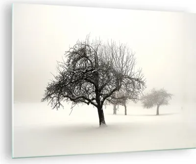 Produktbild von Bilder auf glas - Einteilig - Bäume Schnee Nebel - 70x50cm - Glasbilder - Wandbilder - Bilder - zum Aufhängen bereit - Wanddekoration aus Glas - Glas Bilder - Wandbild auf Glas - GAA70x50-4136