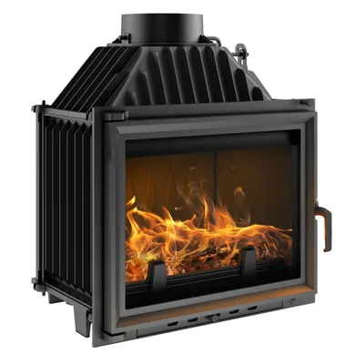 A black cast iron fireplace insert with a fire burning inside, shown against a white background.