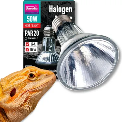 Produktbild von ARCADIA Halogen-Spot-Heizlampe (UVA) 50W
