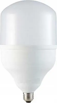 Produktbild von LED-Lampe T100 230 V 30 W 4000 K E27 E40