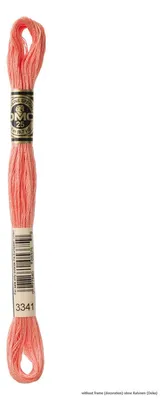Produktbild von DMC Stickgarn Mouline Special 117MC - 3341, 6 Fäden, 8m