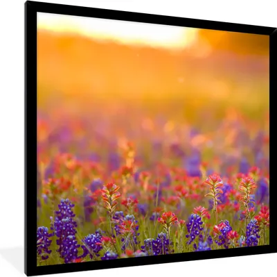 Produktbild von MuchoWow® Gerahmtes Poster Blumen - Gold - Sonne 40x40 cm - Poster mit Schwarzem Bilderrahmen Wandposter Rahmen Foto Bilder - Mit Rahmen - Wanddekoration Schlafzimmer