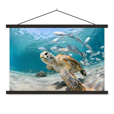 Produktbild von MuchoWow® Textilposter Schildkröte - Fisch - Meer 150x100 cm mit schwarzem Rahmen - Schlafzimmer