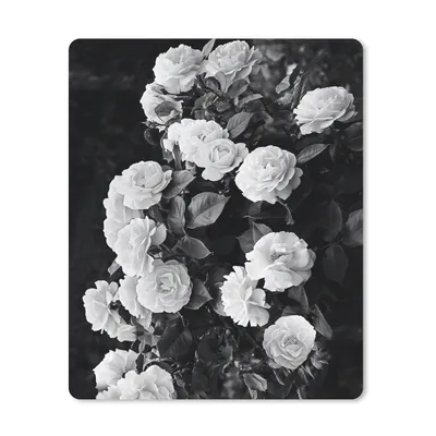 Produktbild von MuchoWow® Mauspad Mousepad Blumen - Schwarz und Weiß - Natur - Pflanzen - Rosen 19x23 cm - Mousepads - Maus Mat - Pad - Mausunterlage - Mauspads - Spielen