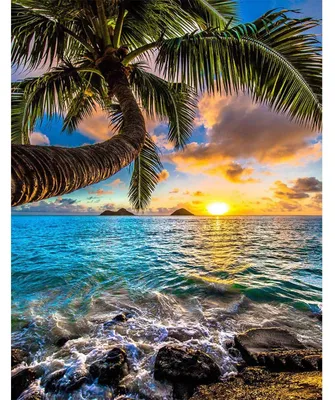 Image de Peinture diamant 5D, paysage, pour adultes