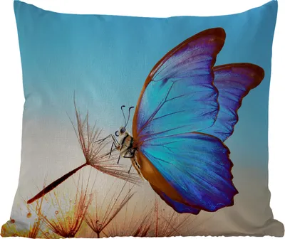 Produktbild von MuchoWow® Outdoor Kissen - Schmetterling - Löwenzahn - Blau - 40x40 cm - Wetterfest - Lounge Kissen - Kopfkissen - Interieur - Polster mit Bild