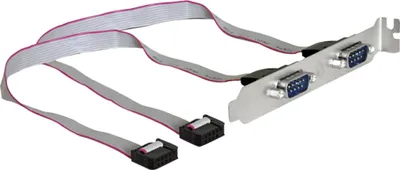 Immagine prodotto di DeLOCK 89083 DeLOCK Slotblech > 2x Seriell | Belegung: 1:1