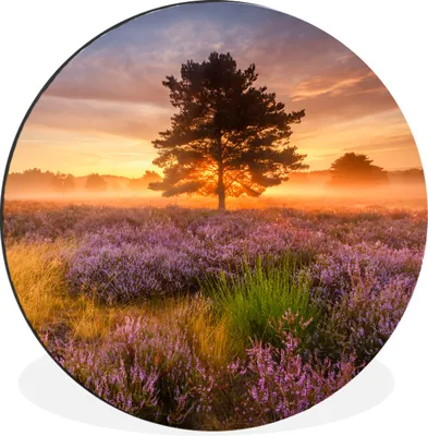 Produktbild von MuchoWow® Aluminium Wandkreis Heidelandschaft mit einem Baum Ø 60 cm Wanddeko Modern Wohnzimmer - Wand Kreis - Wandbild - Schlafzimmer - Aluminium Bild - Kinderzimmer - Wohnzimmer Dekoration - Wandschmuck
