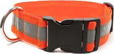 Produktbild von Mystique® Signalhalsband mit Klickverschluss 40mm neonorange 55-65cm