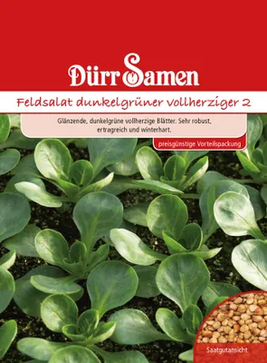 Produktbild von Dürr-Samen - Feldsalat Dunkelgrüner vollherziger (Vorteilspackung) - Saatgut - 4100