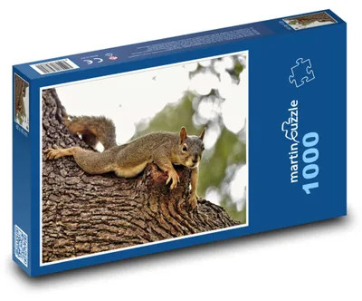 Obrázok produktu pre Puzzle 1000 Veverička na starom strome - martinpuzzle