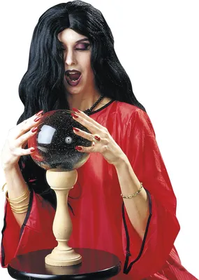 Produktbild von Hexen Perücke - schwarze Hexenperücke - Halloween - schwarze Langhaarperücke