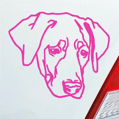 Produktbild von Auto Aufkleber Labrador Labi Labbi Hund Dog 12x10 cm Pink Sticker Heckscheibenaufkleber