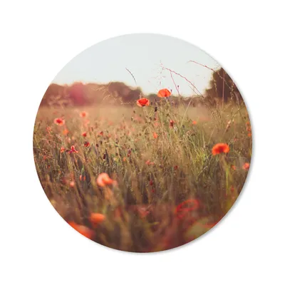 Produktbild von MuchoWow® Mauspad Mousepad Sonnenuntergang - Blumen - Rot 20x20 cm - Mousepads - Maus Mat - Pad - Mausunterlage - Schreibtischmatte