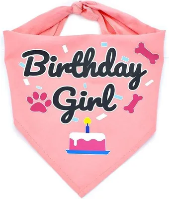 Produktbild von Famanu Bandana für Hunde - Festliches Baumwollaccessoire für jeden Anlass