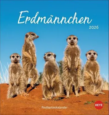 Immagine prodotto di Calendario cartolina Meerkat 2026