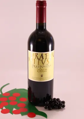 Immagine prodotto di Lagrein Riserva Praepositus - 2021 - Cantina Monastica di Novacella