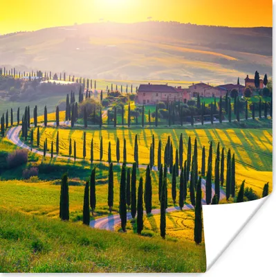 Produktbild von MuchoWow® Poster Gras - Sonne - Hügel - Landschaft 50x50 cm - Wohnzimmerdekoration