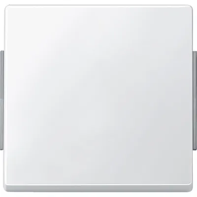 Produktbild von Merten Wippe polarweiß 343119 AQUADESIGN