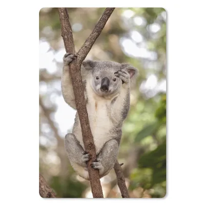 Produktbild von MuchoWow® Mauspad Mousepad Koala - Äste - Tier - Kinder - Jungen - Mädchen 40x60 cm - Mousepads - Maus Mat - Pad - Mausunterlage - Schreibtisch Accesoire