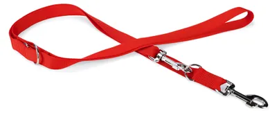 Image de Art Sportiv Laisse De Conduite,25Mm 200Cm Rouge