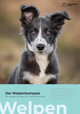 Produktbild von Der Welpenkompass