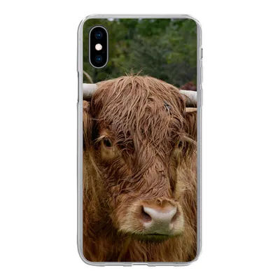 Produktbild von MuchoWow® Handyhülle Schutzhülle Hülle für iPhone Xs Schottische Highlander - Tiere - Gras Silikon Softcase Handy Hülle - Handytasche