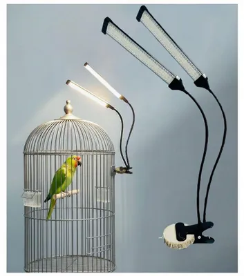 LED-Vogelkooilamp Volspectrum mit Timer und Klemme