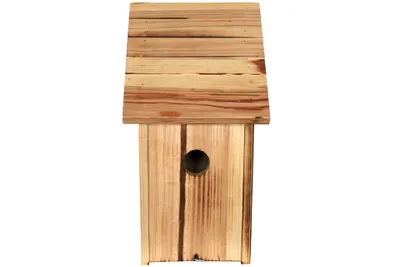 Produktbild von Sweet Family Sweet Family Nistkasten 33,5 x 14,5 cm Vogelhaus Brutkasten