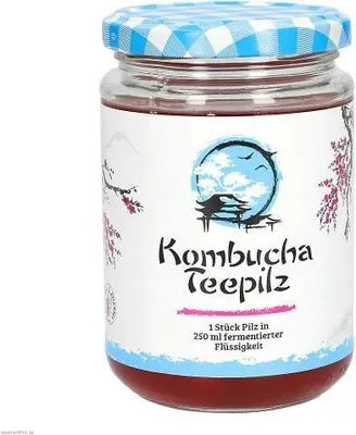 Obrázek produktu pro Kombucha ajov houba 1 ks