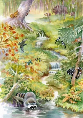 Produktbild von Bluebird Puzzle Waldtiere - 1000 Teile Puzzle