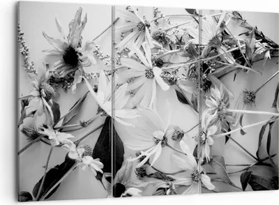 Produktbild von Bild auf Leinwand - Leinwandbild - 3 Teile - Blumen Schwarzweiß Fotografie - 105x70cm - Wand Bild - Wanddeko - Wandbilder - Leinwanddruck - Bilder - Wanddekoration - Leinwand bilder - CE105x70-4740