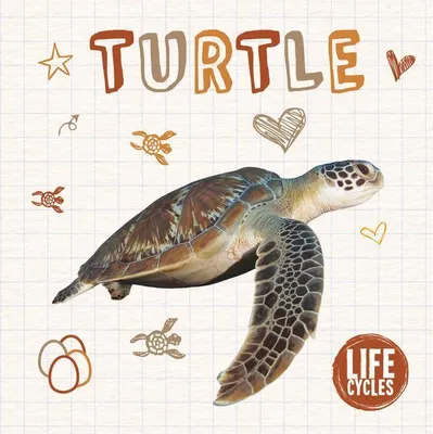 Produktbild von Turtle