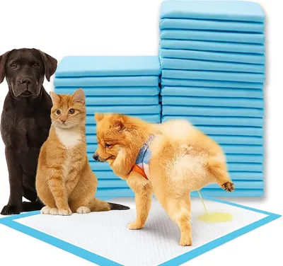 Produktbild von Saugfähige Hygieneeinlagen Für Haustiere Und Umkleideräume 45X60 50 St.