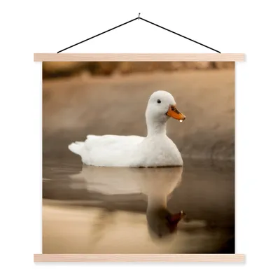 Produktbild von MuchoWow® Textilposter Ente - Vogel - Wasser - Weiß 60x60 cm mit holzfarbenen Rahmen - Wanddekoration