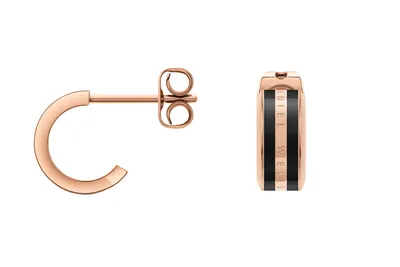 Immagine prodotto di Orecchini in acciaio Daniel Wellington DW00400310