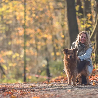 Produktbild von Lange Hundenriem 10m - Ideal für Training und Outdoor für kleine und mittelgroße Hunde