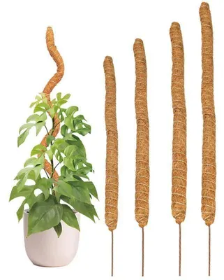 Produktbild von Flexibler Pflanzenständer - 60 cm