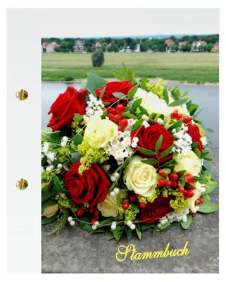 Produktbild von Stammbuch Elbe, hellblau, hochwertiger Bilderdruck, matt, Strauß am Fluß, Format A4