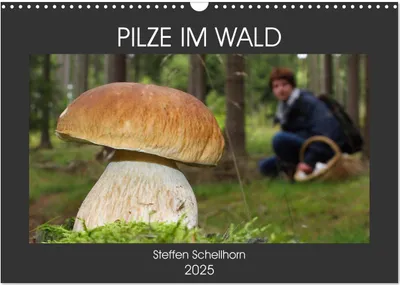 Produktbild von PILZE IM WALD (Wandkalender 2025 DIN A3 quer), CALVENDO Monatskalender