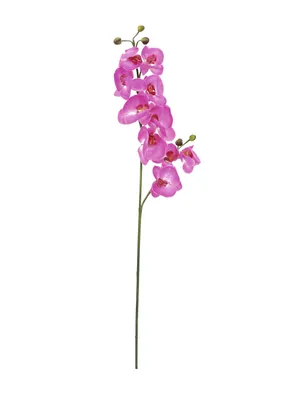 Obrázek produktu pro EUROPALMS Větev orchideje, umělá, fialová, 100 cm (82530322)