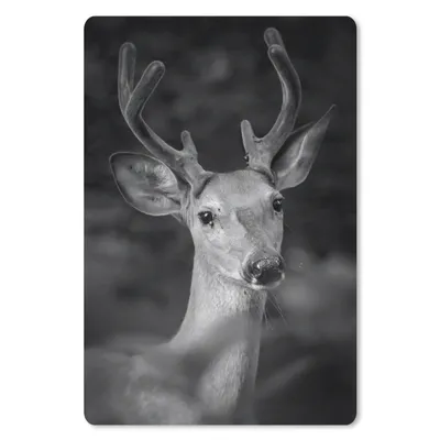 Produktbild von MuchoWow® Mauspad Mousepad Tierprofil Hirsche in schwarz und weiß 40x60 cm - Mousepads - Maus Mat - Pad - Mausunterlage - Schreibtisch Accesoire