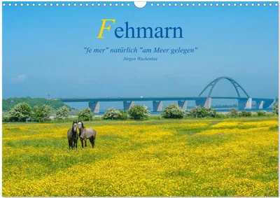 Produktbild von Fehmarn - "fe mer" natürlich "am Meer gelegen" (Wandkalender 2025 DIN A3 quer), CALVENDO Monatskalender