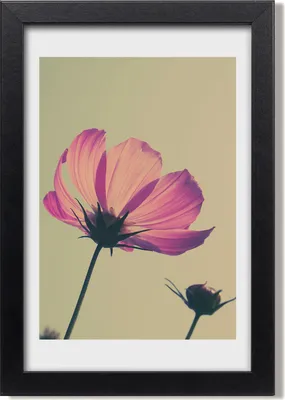 Produktbild von Bild 20x30 MDF-Rahmen, Wandkunst Rosa Blumen